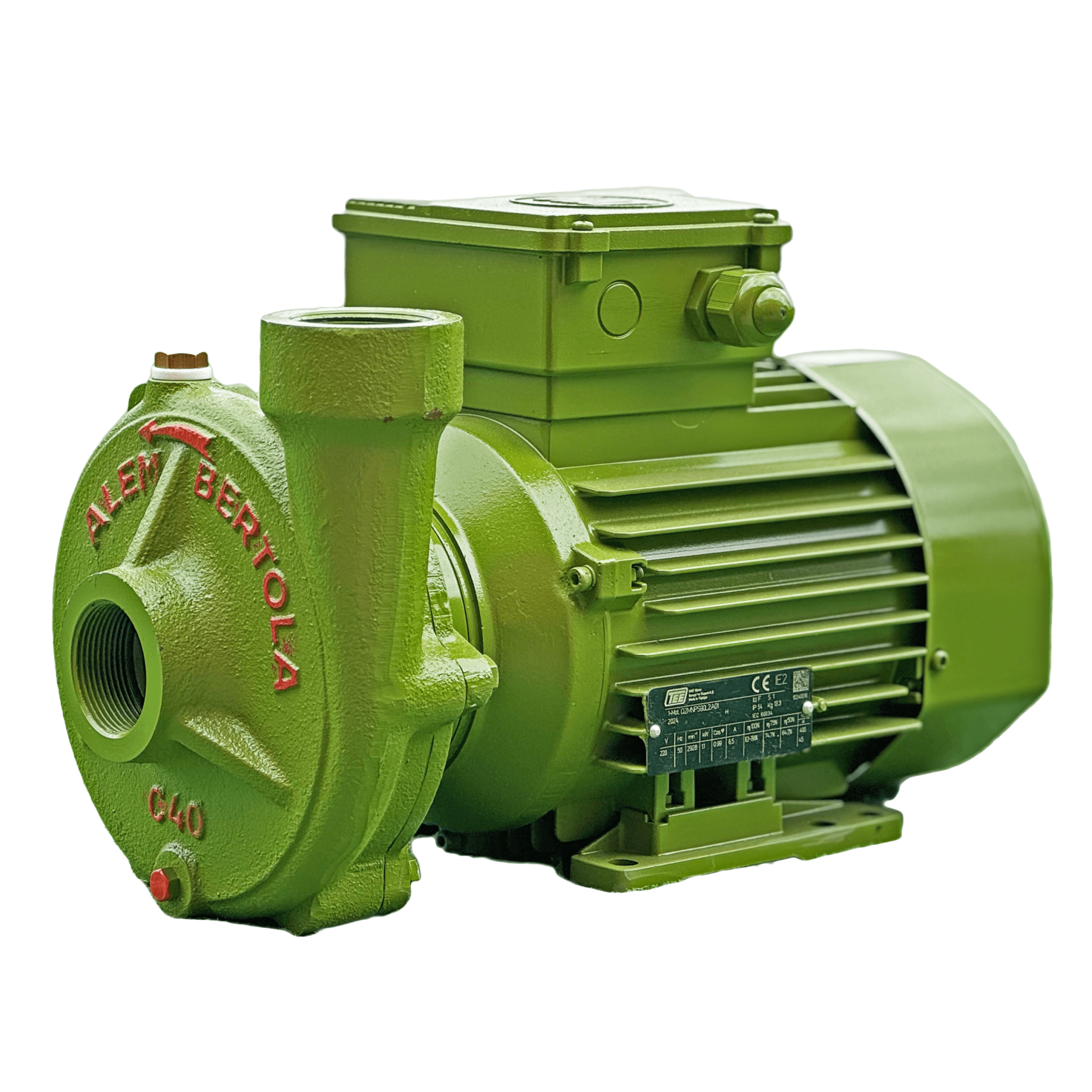ALEM BERTOLA C40 Bahçe Su Pompası 1,5 Hp 220 Volt Monofaze