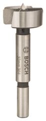 BOSCH Tas Menteşe Açma Ucu 35 mm