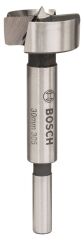 BOSCH Tas Menteşe Açma Ucu 30 mm