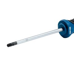 BOSCH Profesyonel T25 x 100 mm Deliksiz Torx Tornavida (1600A01V0D)